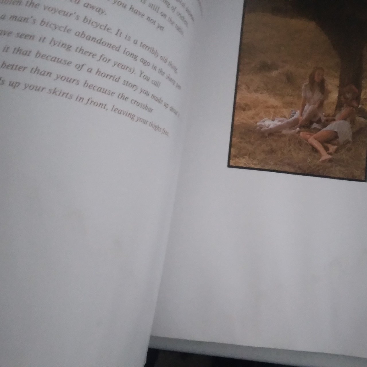 Sisters / Davil Hamilton & Alain Robbe-Grillet, 1973 - Image 5