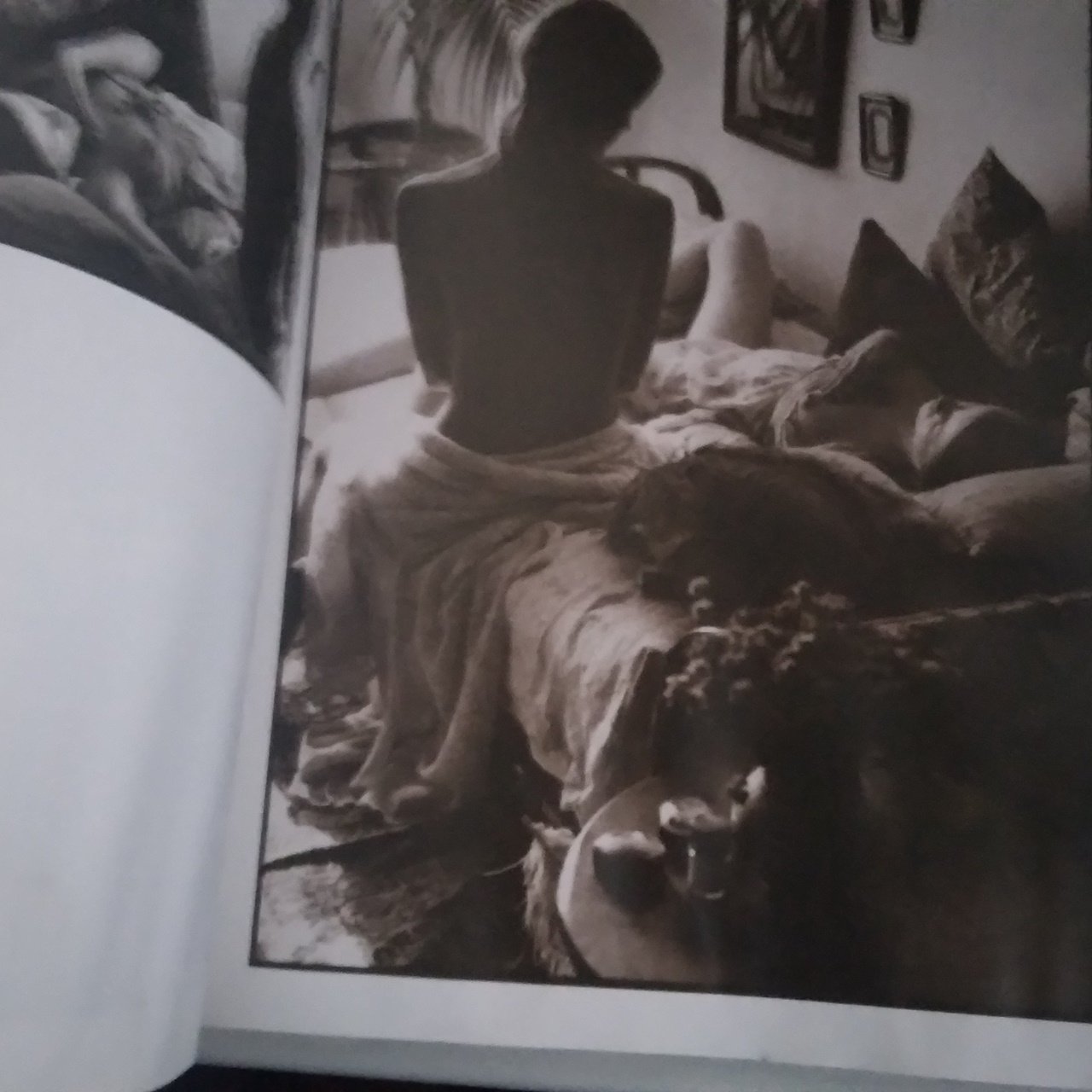 Sisters / Davil Hamilton & Alain Robbe-Grillet, 1973 - Image 4