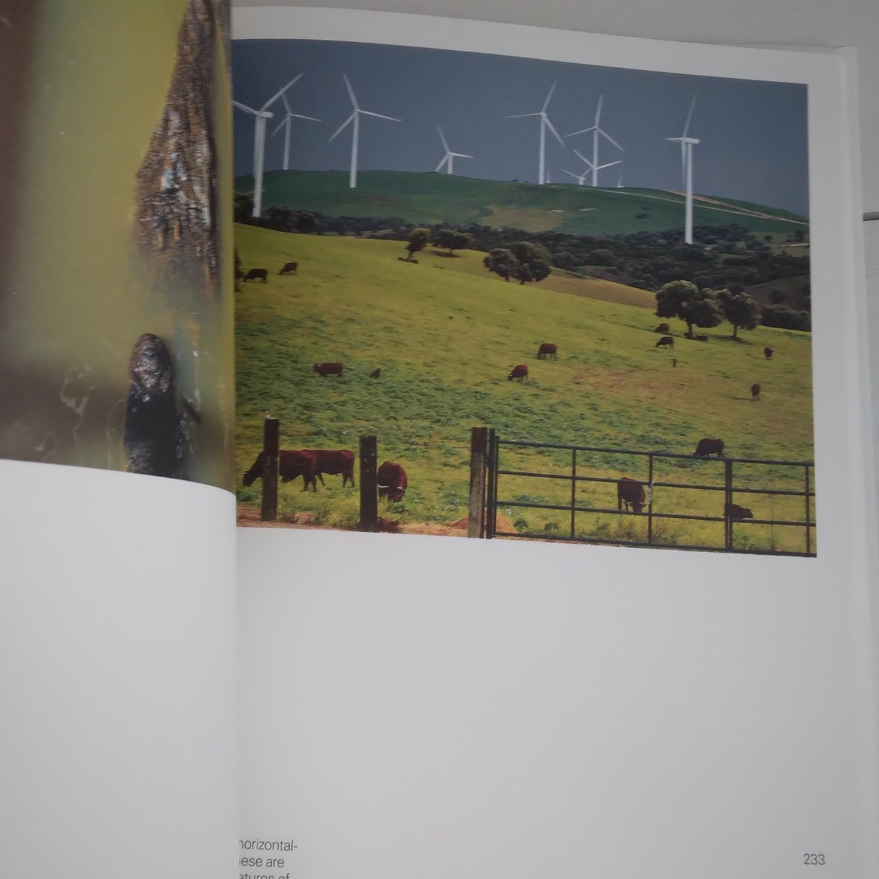 A Visual Inventory / John Pawson, 2012 - Image 4