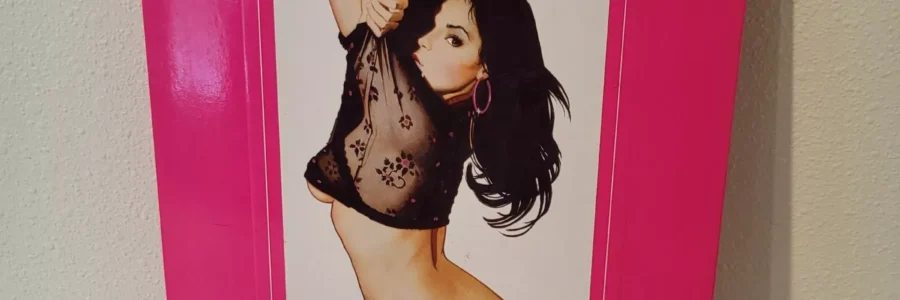Pin-Up The Illegitimate Art / Jim Silke