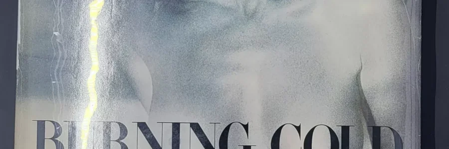 Burning Cold / Gary Bernstein