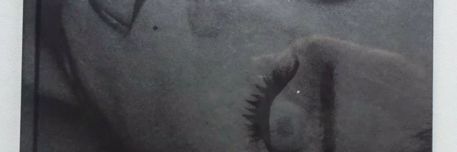 Orgasm / Tony Ward
