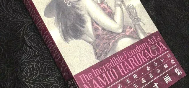 The Incredible Femdom Art of Namio Harukawa
