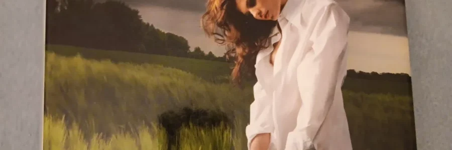 Fabio Borquez / Erotic Wonderland