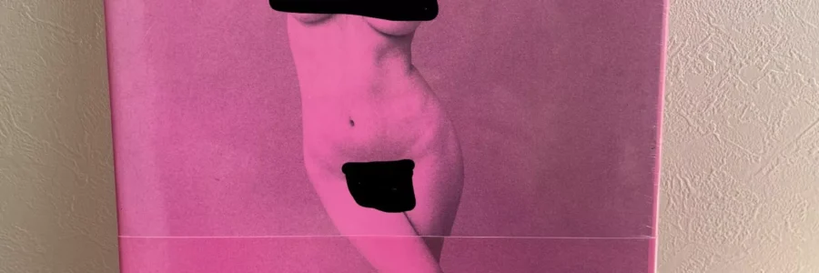 Izumi Suzuki This Bad Girl / Nobuyoshi Araki