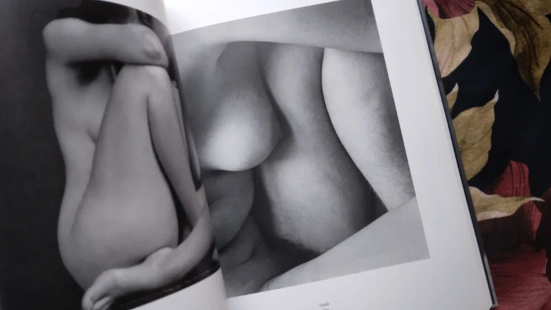 Edward Weston by Taschen, 2004 - Image 7