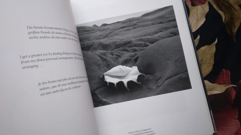 Edward Weston by Taschen, 2004 - Image 6