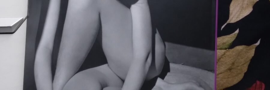 Edward Weston by Taschen, 2004